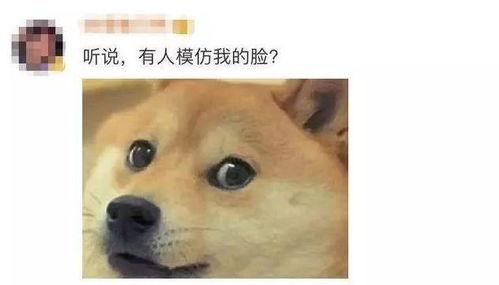 微信吃瓜表情包啥意思,网络热传的趣味解读